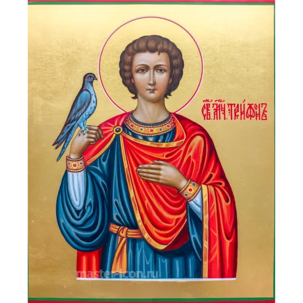 Икона Трифон Апамейский мученик